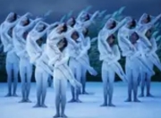 《鹤魂》十年：用足尖书写生命与自然的诗意交响