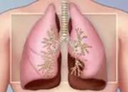 你的肺健康，可能正在被这些细节悄悄“透支”！——4个日常习惯正在伤害你的呼吸系统