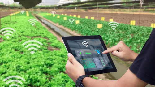 250821164634.png 250821164634.png